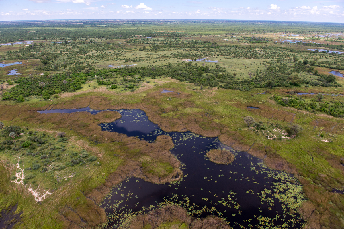 A Botswana safari in photos